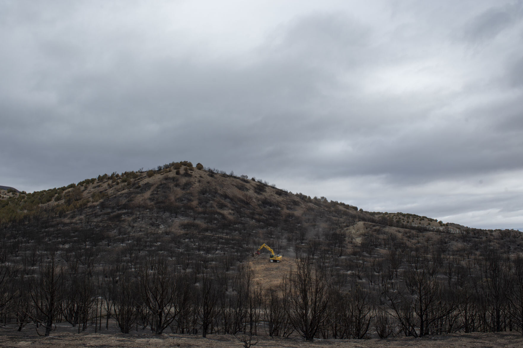 Restoration continues after South Hills Badger Fire